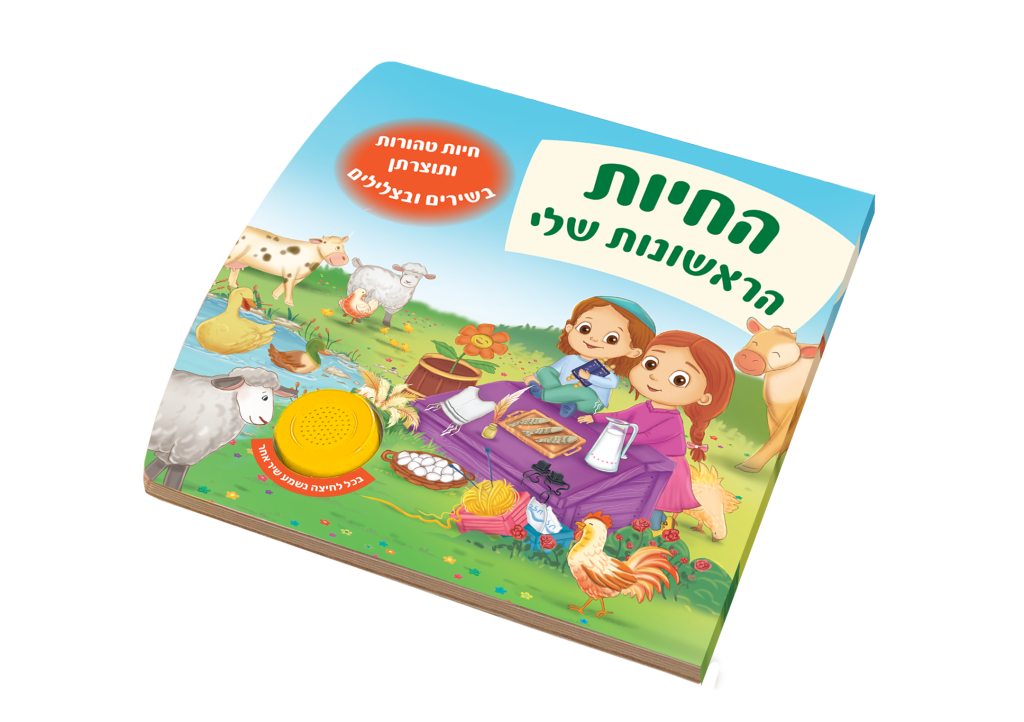 משחקי קלפים ללימוד