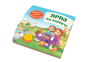 משחקי קלפים ללימוד