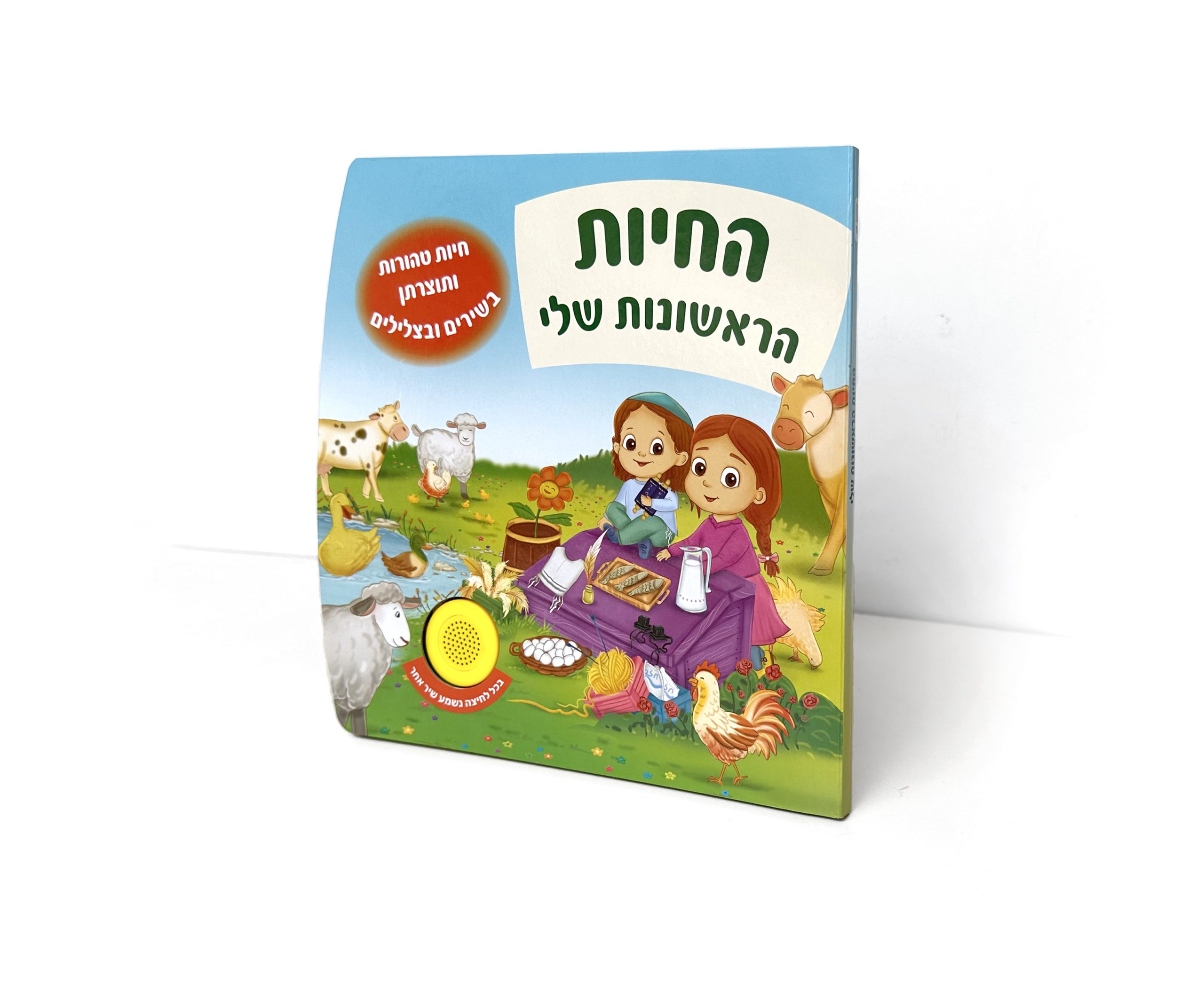 משחקים לערב שבת